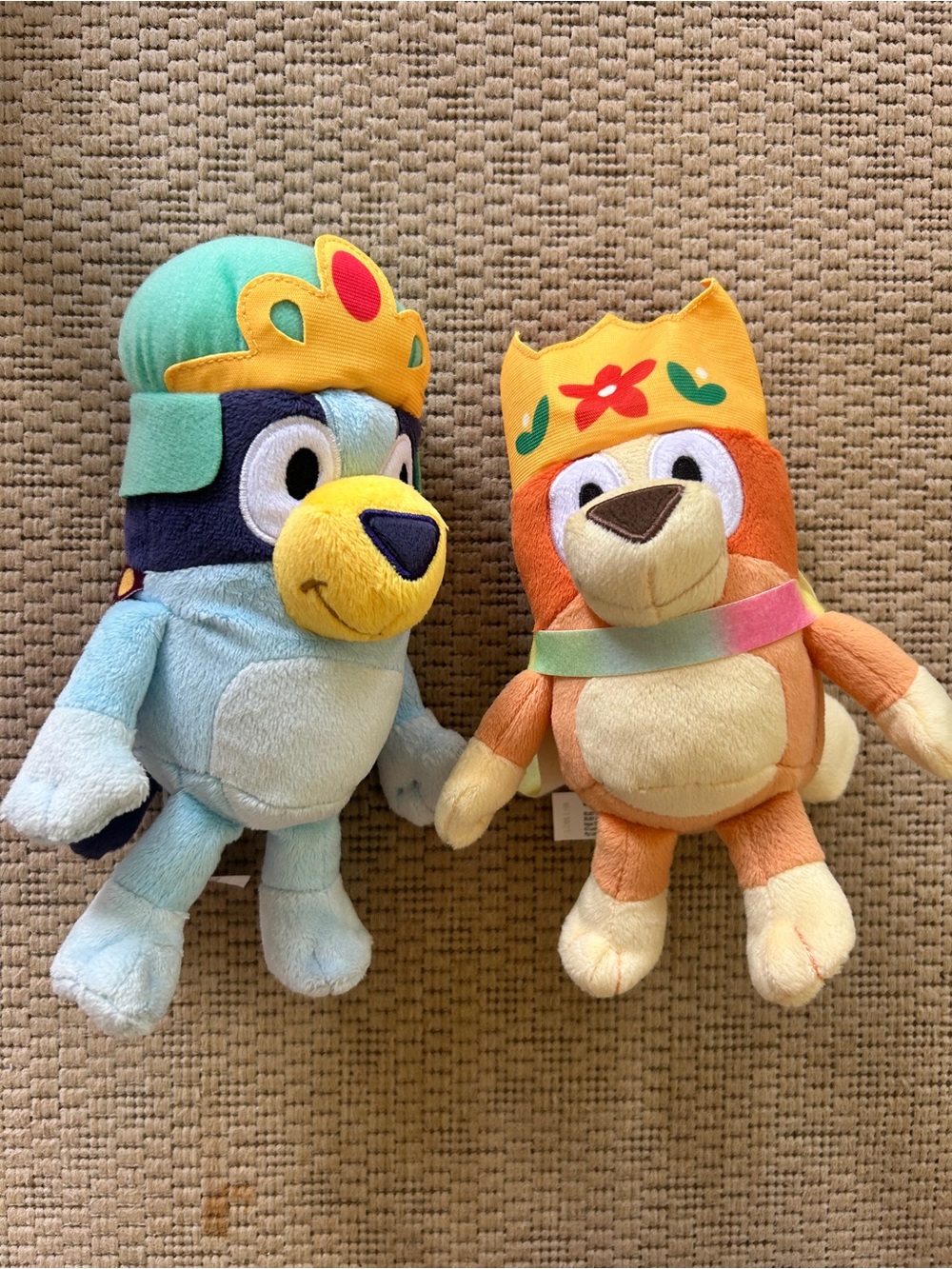 Plush Animal Pair - Light Blue & Orange Crowned Buddies
